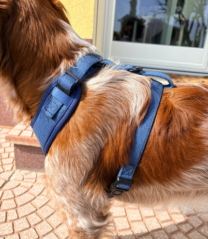 Pettorina regolabile Denim