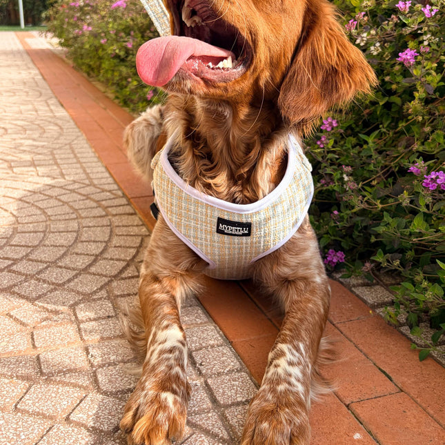 Pettorina regolabile Tweed