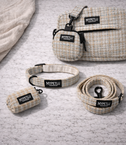 Set Passeggiata Collare – PRO