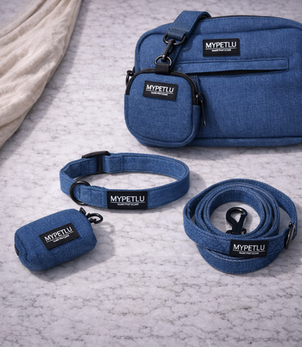 Set Passeggiata Collare – PRO