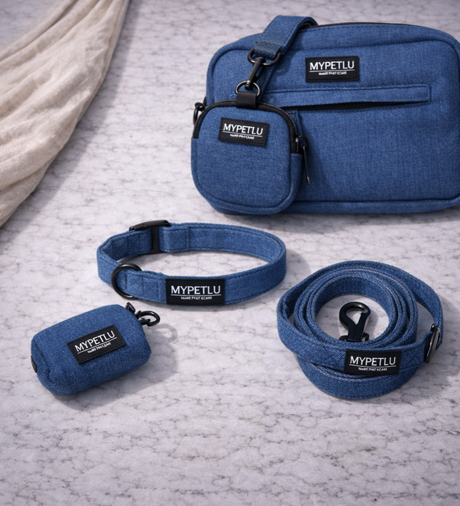 Set Passeggiata Collare – PRO