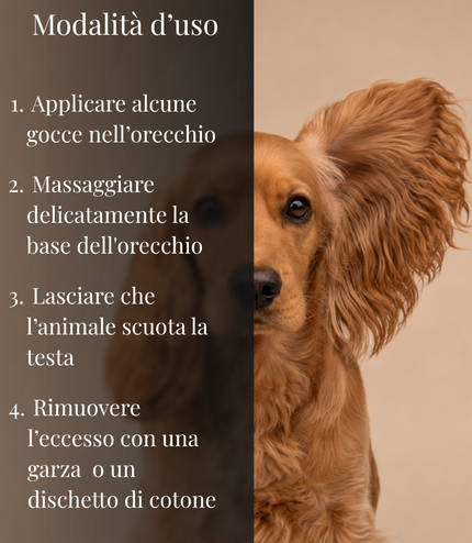 Detergente Orecchie
