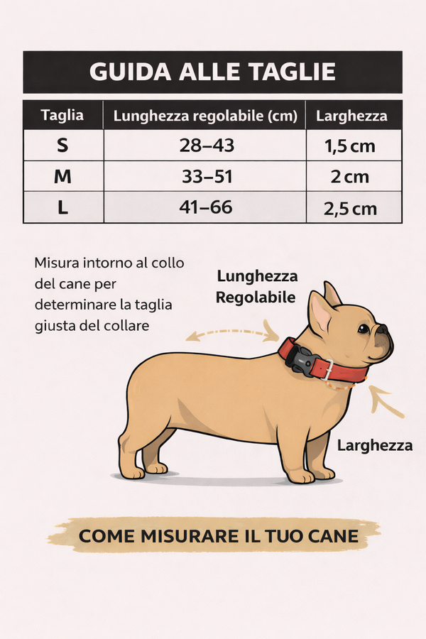 Guida alle taglie