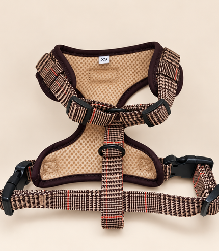 Pettorina Tartan XS | Stock Speciale -50%