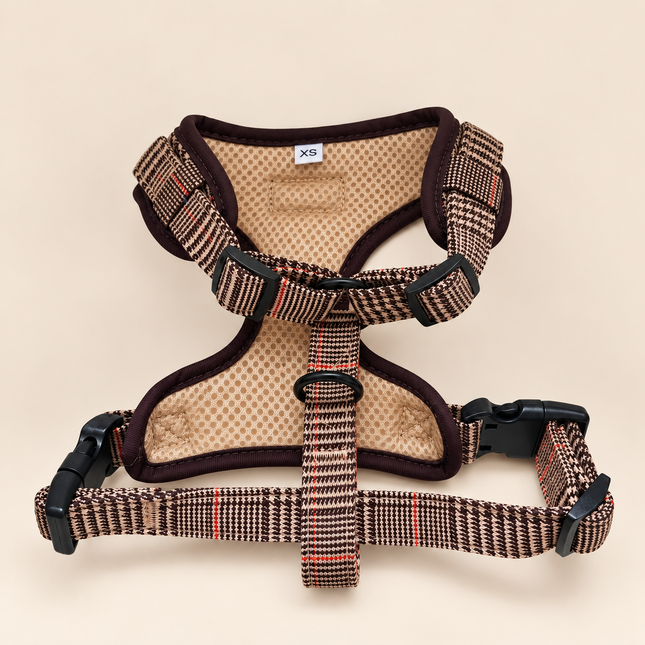 Pettorina Tartan XS | Stock Speciale -50%