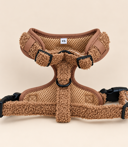 Pettorina Teddy XS | Stock Speciale -50%
