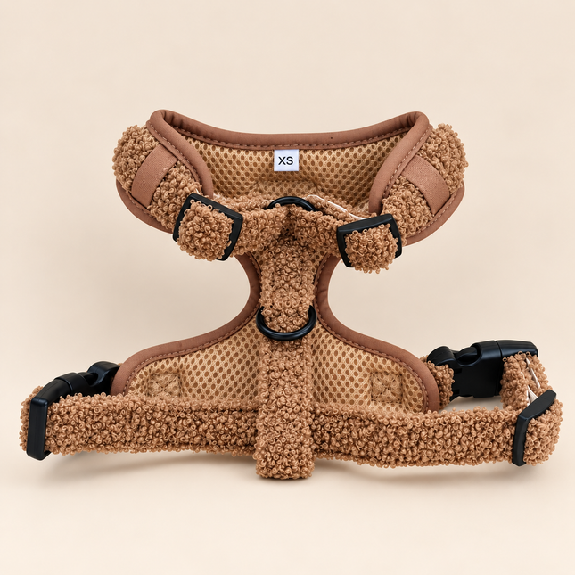 Pettorina Teddy XS | Stock Speciale -50%