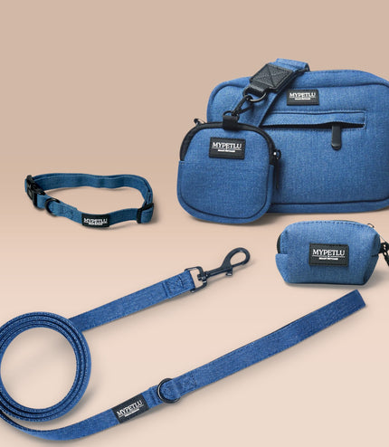 Set Passeggiata Collare PRO | Scegli colore e taglia