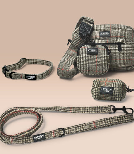 Set Passeggiata Collare PRO | Scegli colore e taglia