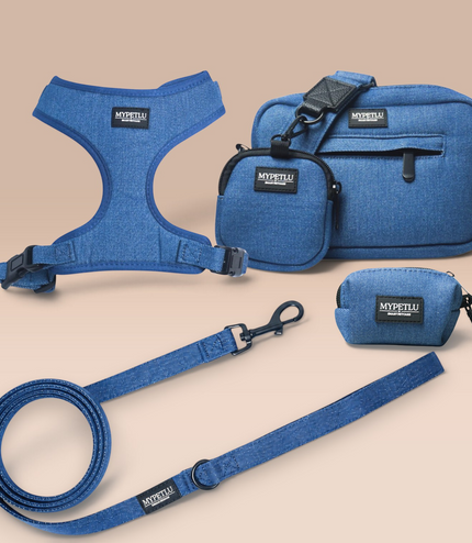 Set Passeggiata Pettorina PRO | Scegli colore e taglia