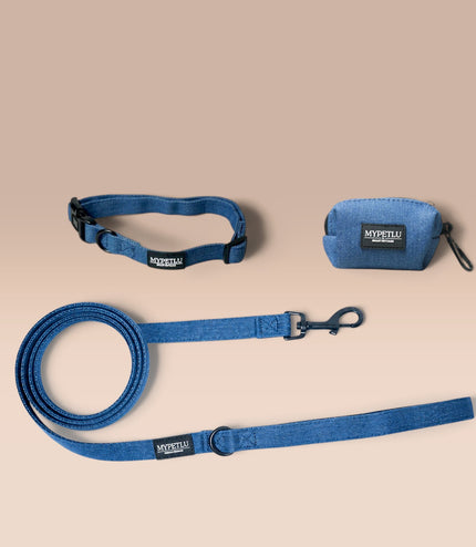 Set Passeggiata Collare | Scegli colore e taglia