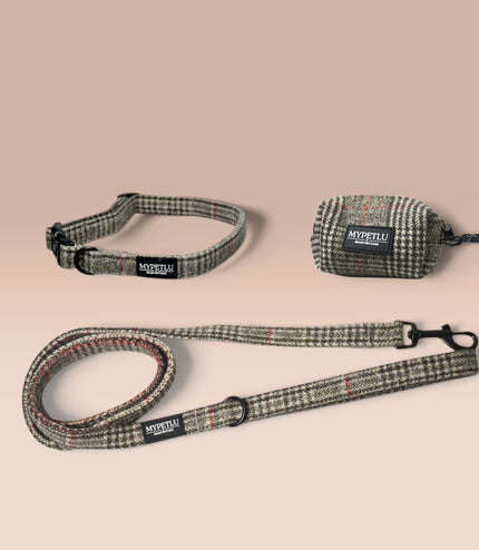 Set Passeggiata Collare | Scegli colore e taglia