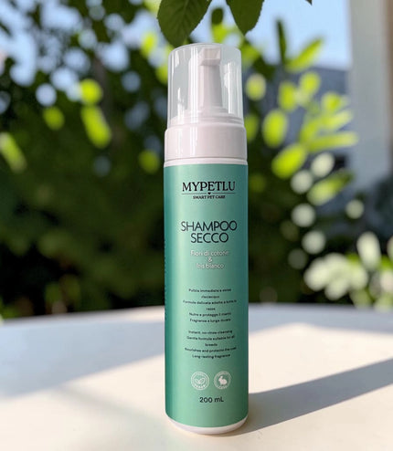 Shampoo secco