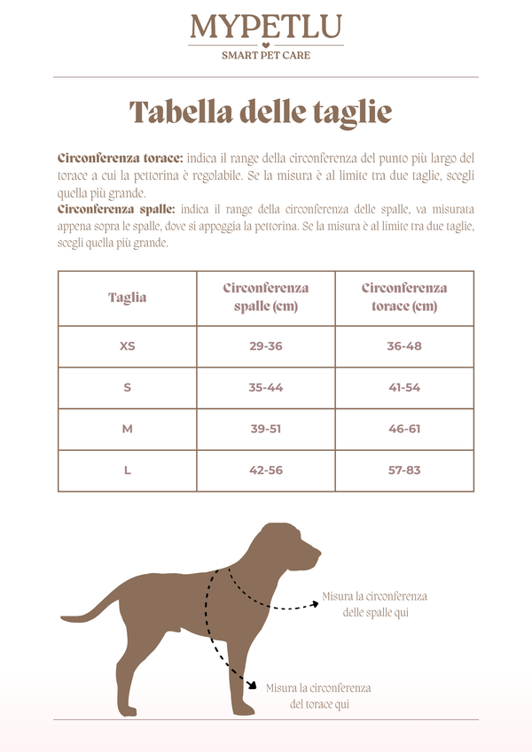 Guida alle taglie