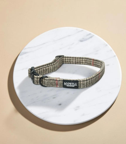 Collare Tartan